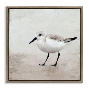Stupell Industries Lone Sandpiper Bird Portrait, 18" x 18" - 1 of 4
