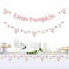 Big Dot of Happiness Girl Little Pumpkin - Fall Birthday Party or Baby Shower Letter Decoration - 36 Banner Cutouts and Little Pumpkin Banner Letters - 2 of 4