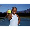 Penn Tour Extra Duty Tennis Balls - 3pk - image 4 of 4