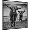 30" x 30" Highland Cow Couple by Stephane Pecqueux Framed Canvas Wall Art Print - Amanti Art: Modern Bovine Decor, Polystyrene Frame - 2 of 4