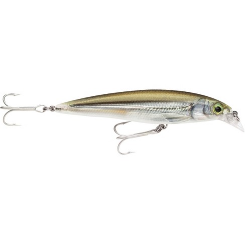 Rapala 4 X Rap 10 Saltwater Fishing Lure Target