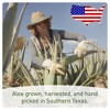 Seven Minerals Organic Aloe Vera Spray for Body & Hair - From Freshly Cut Aloe, Extra Strong, Absorbs Rapidly - Made in USA - 12 fl oz - 4 of 4