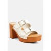 Sarai Buckle Straps High Block Heel Mules - 2 of 4