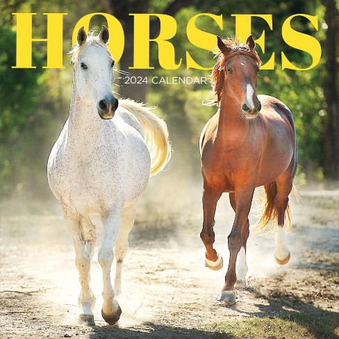 Tf Publishing 2024 Wall Calendar 12"x12" Horses : Target