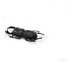 CWG | Stag Beetle, Very Nice Rubber Reproduction     3"     CWG05 B13 - 2 of 4