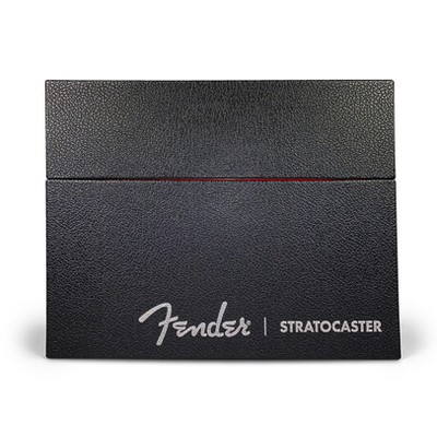 Fender Stratocaster 70 Years Deluxe Box Edition - by  Dave Hunter (Mixed Media Product)