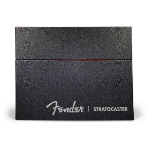 Fender Stratocaster 70 Years Deluxe Box Edition - by  Dave Hunter (Mixed Media Product) - 1 of 1