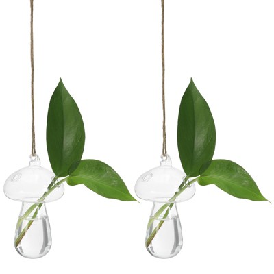 Unique Bargains Hydroponic High Borosilicate Glass Decorative Transparent Collectible Figurines 2 Pcs