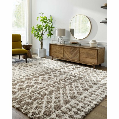 Hauteloom Kato Shag Area Rug