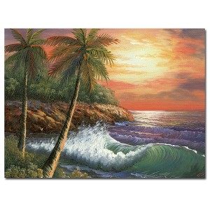 Trademark Fine Art -Rio 'Maui Sunset' Canvas Art - 1 of 3