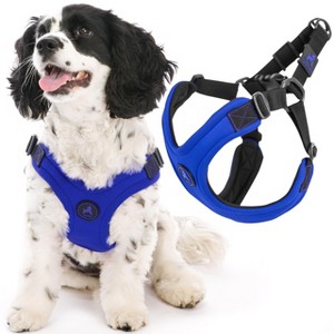 Gooby Escape Free Sport Harness Blue, Large - 1 of 1