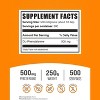 BulkSupplements DL-Phenylalanine Powder 250 Grams - 2 of 4