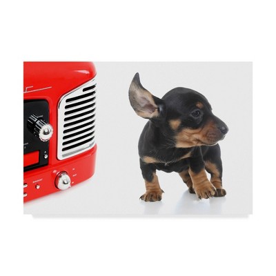 16" x 24" The Radio by Andrea Mascitti Puppies - Trademark Fine Art