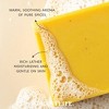 Pumpkin Spice Bar Soap 2-Pack | Cozy Aromatherapy Cleanser with Warm, Spiced Scent | Natural Daily Body Care | Plantlife - 2 of 4