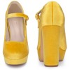 BLISSFUL STEP Women's Ankle Strap Faux Velvet Round Toe Pumps - 3 of 3