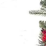 transparent base-2pcs