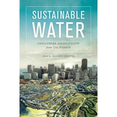 Sustainable Water - by  Allison Lassiter (Paperback)