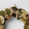Mushroom Preserved Wreath - Threshold™ - 3 of 3