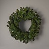 22" Pre-lit Battery Operated LED Artificial Christmas Wreath Dual Color Lights - Wondershop™: Indoor/Outdoor - image 4 of 4