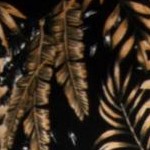 black camel leaf