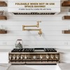 WOWOW Wall Mounted Pot Filler Faucet with Double Joint Swing Arms in Brushed Nickel - 2 of 4