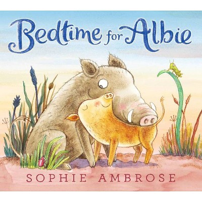 Bedtime for Albie - by  Sophie Ambrose (Hardcover)