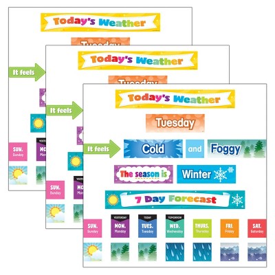 Teacher Created Resources® Colorful Weather Pocket Chart Cards, 94 Per Pack, 3 Packs