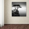 Trademark Fine Art -Dave MacVicar 'The Lone Cypress' Canvas Art - 3 of 3