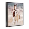 Stupell Industries Horse Collection in Meadow Framed Giclee Art - 2 of 4