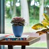 Bloem Dayton Round Resin Planter Pot Indoor and Outdoor Gardening - 2 of 4