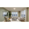 Quoizel Lighting 2 - Light Semi-Flush Mount in  Brushed Nickel - 2 of 4