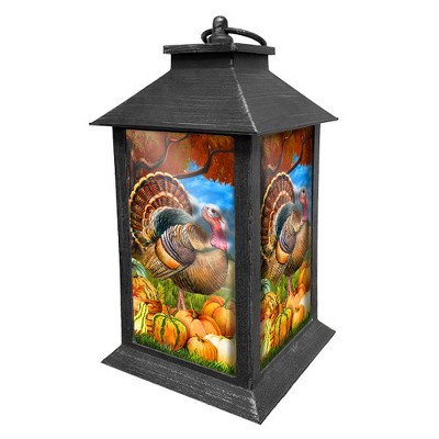 Briarwood Lane Fall Lantern 13.5" x 5.5" x 5.5" Turkey and Pumpkins For Fall Lantern