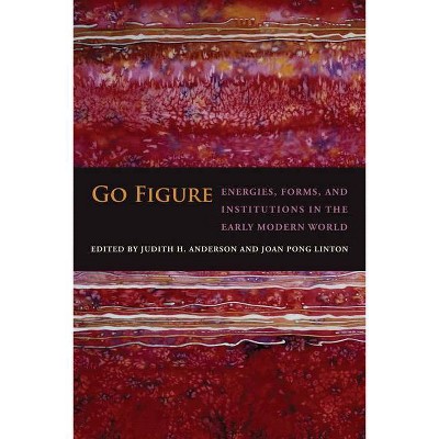 Go Figure - by  Judith H Anderson & Joan Pong Linton (Hardcover)