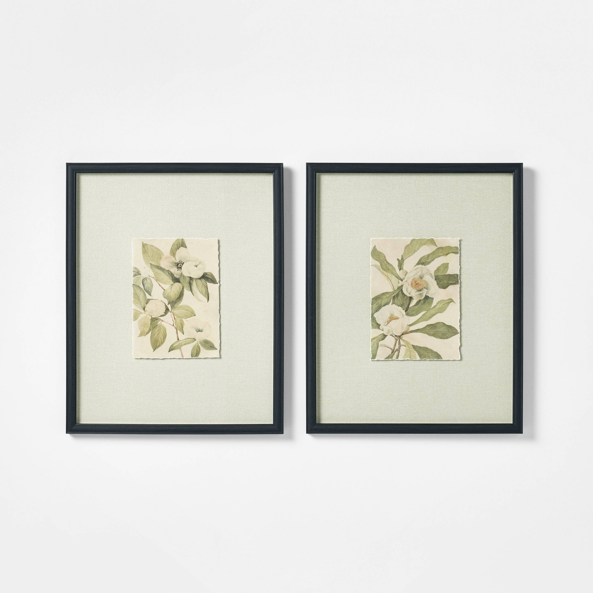 16"x20" Set of 2 Floral Framed Wall Art - Threshold™ designed with Studio McGee
