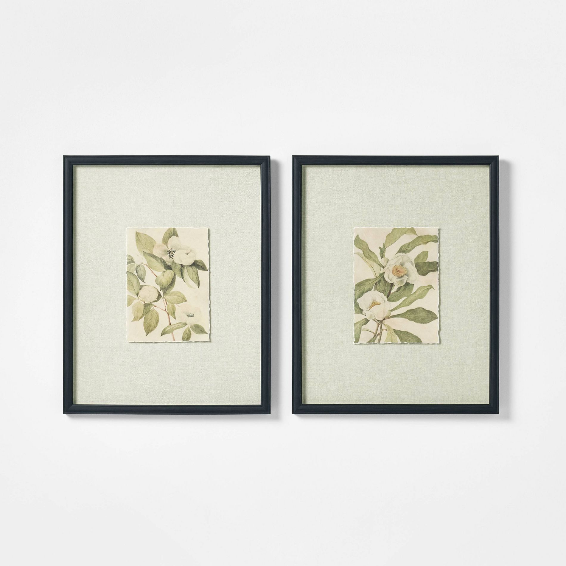 16"x20" Set of 2 Floral Framed Wall Art - Threshold™ designed with Studio McGee