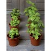 Gardeners Supply Company SuperRoot Booster Seed Starter Mix | Promotes Strong Roots & Boost Plant Growth |  High Nutrients Plant Food For Seed - image 2 of 3
