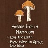 Park Designs Advice From Mushroom Dishtowel Set of 2 - 3 of 3