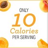Skinnygirl Sugar Free Apricot Preserves, 10 oz (Pack of 2) - 3 of 4