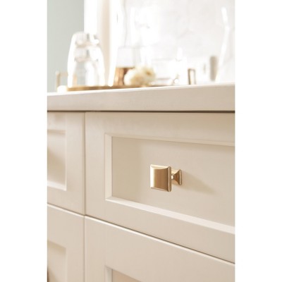 Golden Champagne Modern Rectangular Cabinet Knob with Mounting Hardware