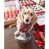 Amici Pet Metal Treats Storage Canister Stainless Steel Diamond Texture Jar, 52 oz. , Silver - 4 of 4
