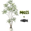 Artificial Plants Indoor, 5FT Tall Faux Floor Plant in Pot, Nandina Artificial Tree with Grey Planter - 4 of 4