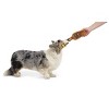 BARK Sniffin Booty Barkbeards 3.5" Rum Tug Dog Rope Plush Toy - 3 of 4