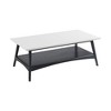 Sapphtopaz 48" Modern Wooden Coffee Tables for Living Room with 2-Tier Shelf Rectangle 2-Tone Center Table with Wood Frame Coffee Bar for Office - 2 of 4