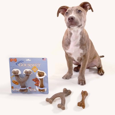 Nylabone Gourmet Style Strong Puppy Bundle Chew Toy - Bacon Peanut Butter - Small - 2ct