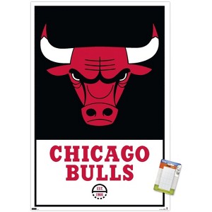 Trends International NBA Chicago Bulls - Logo 21 Unframed Wall Poster Prints - 1 of 4