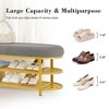 Gericco 46" Shoe Storage Bench with Cushion Entryway Bench Modern Metal Legs Shoe Rack end of Bed with Shelf - 3 of 4