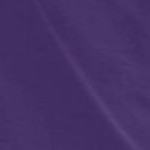 midnight violet