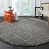 Arizona Shag ASG743 Power Loomed Indoor Rugs - Safavieh - 2 of 3