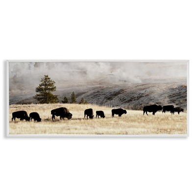 Stupell Industries Grazing Bison Foggy Countryside, 24" x 10"