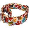 Country Brook Petz 1 1/2 Inch Martingale Dog Collar - Awesome Autumn Collection - 2 of 4